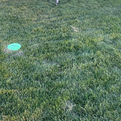 Hole 3