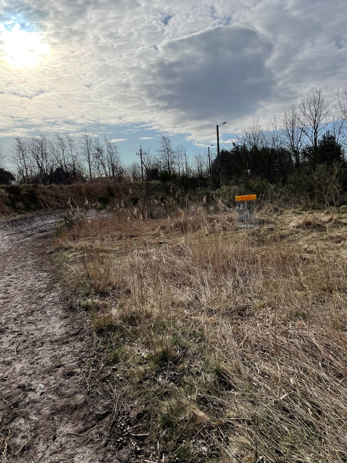 Basket Hole 7