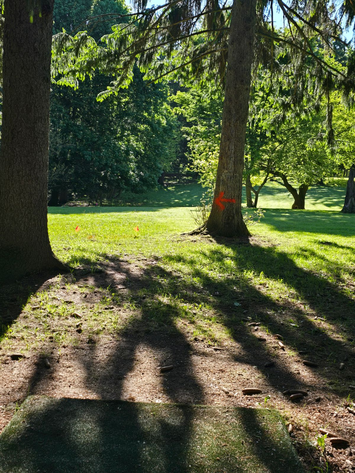 Hole 3