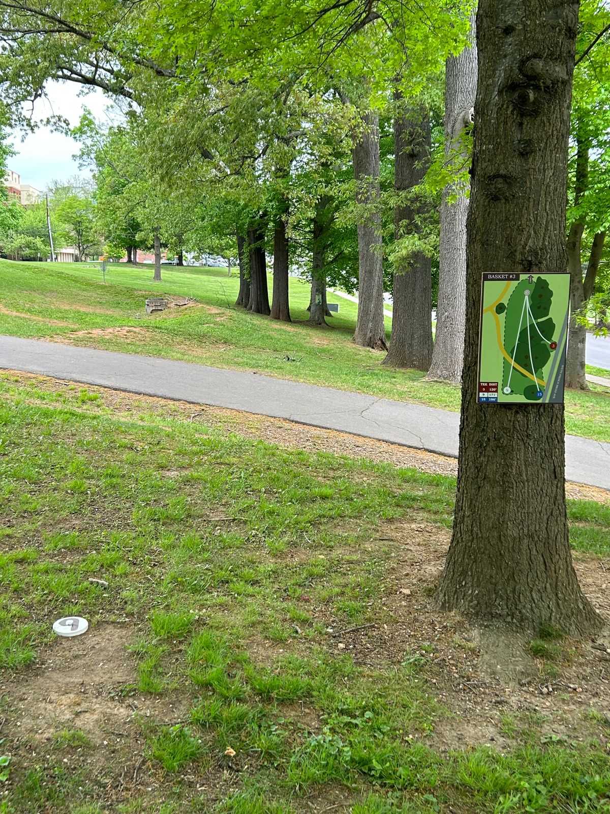 Hole 3 (White)