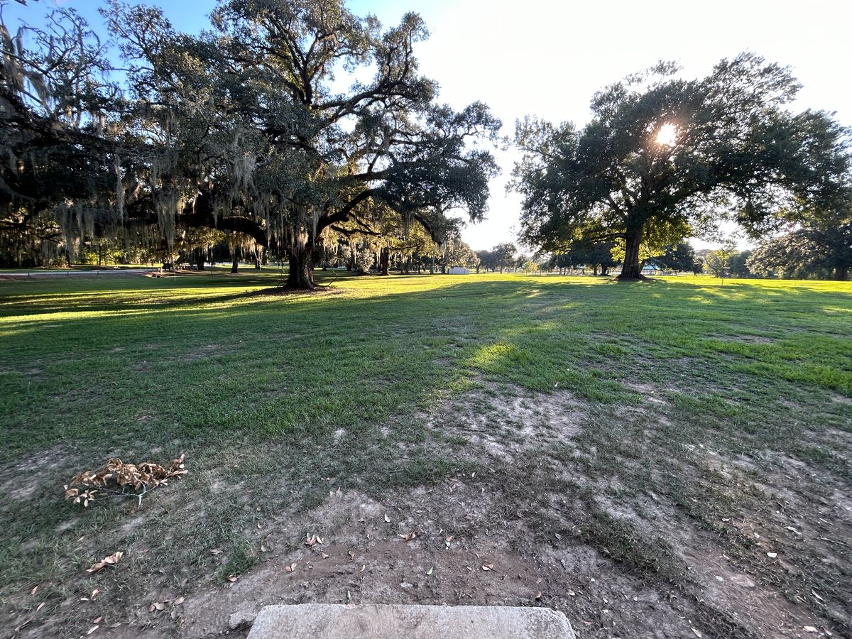 Hole 15 Fairway