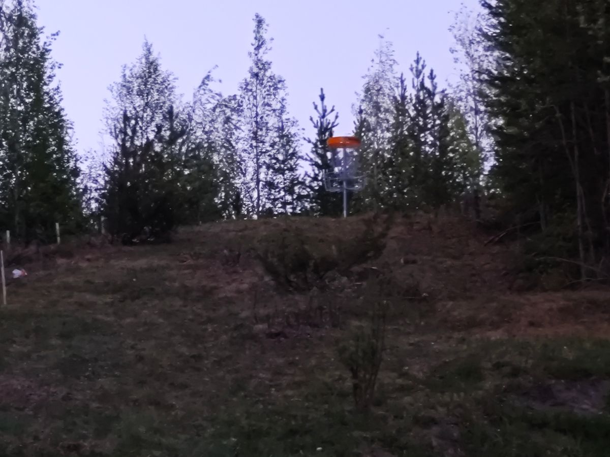 Där uppe står den och vakar över Sportfältet, korg #16