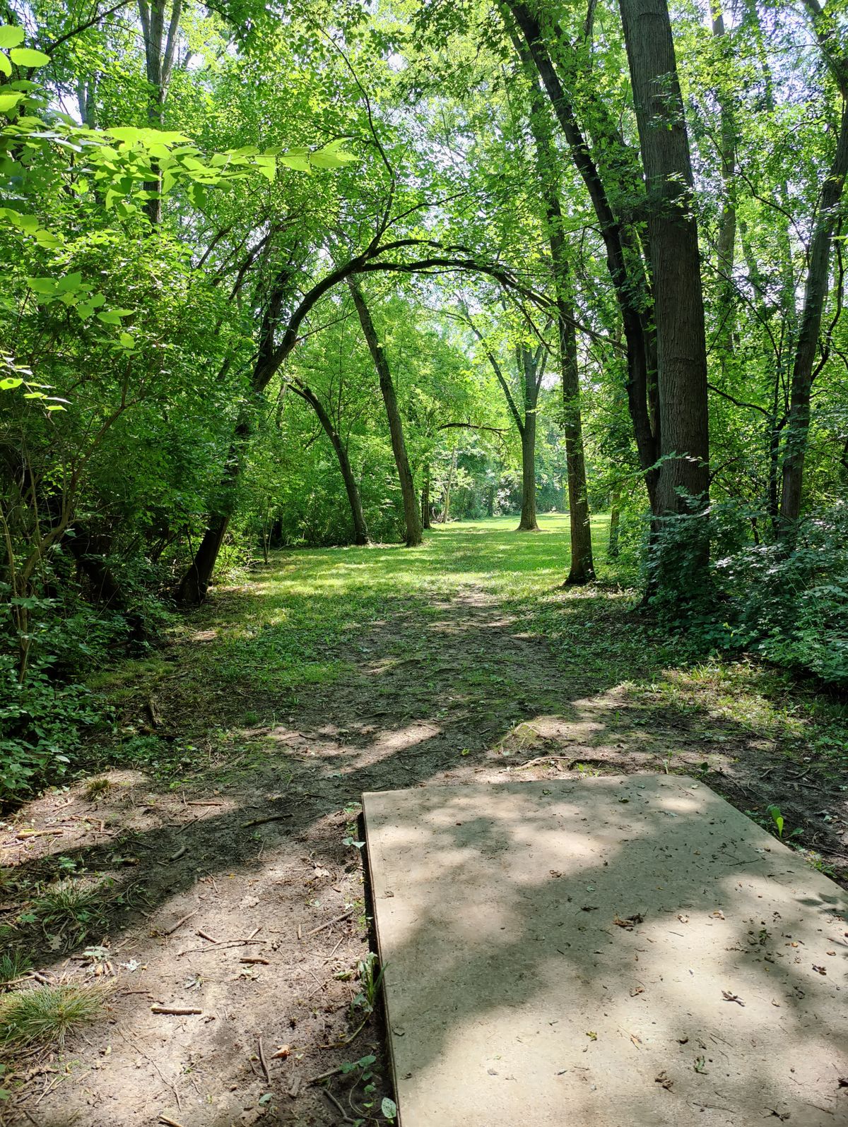 Hole 5
