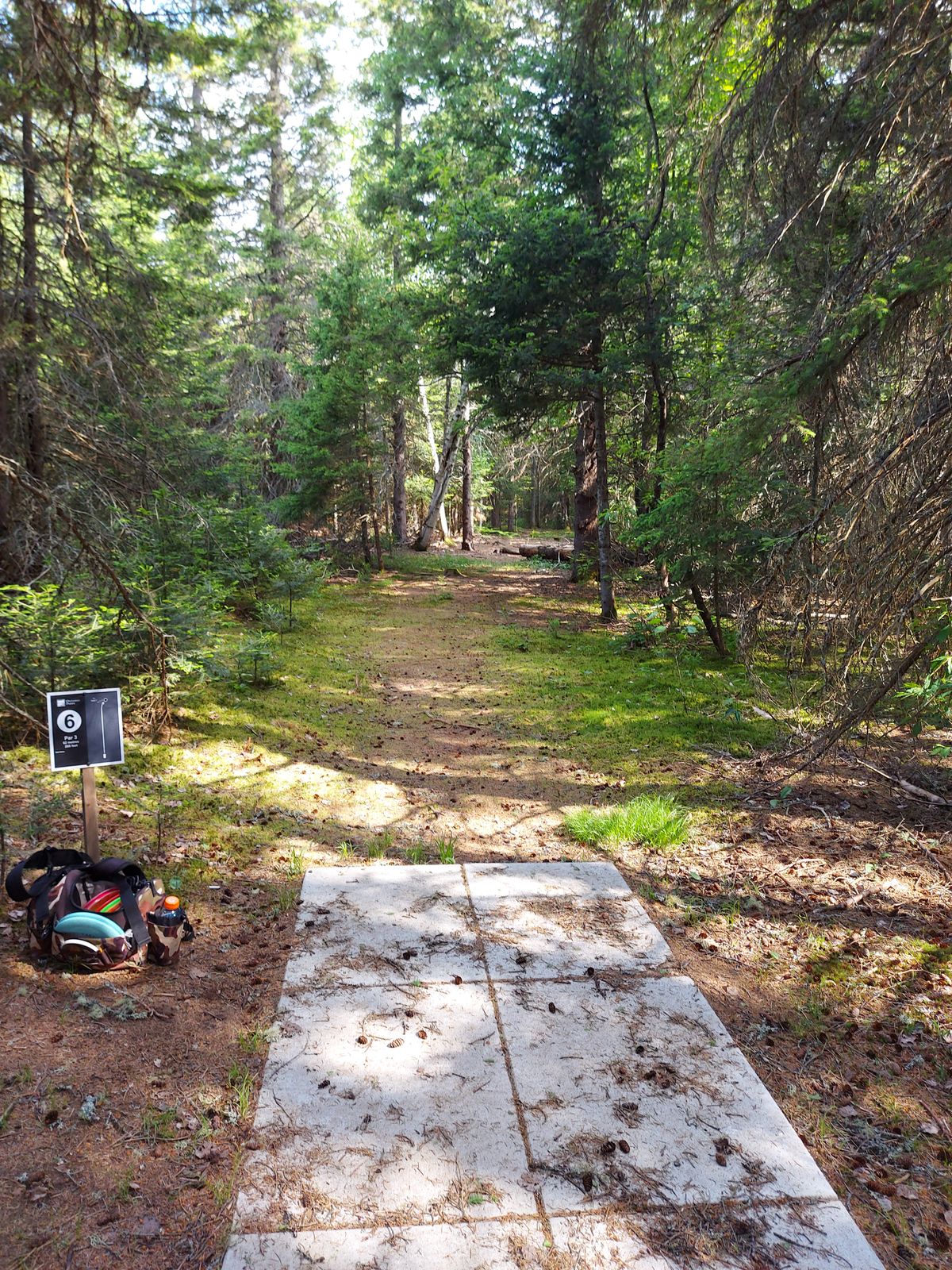 Tee pad 6.🍁🌲🍁🌲🍁🌲