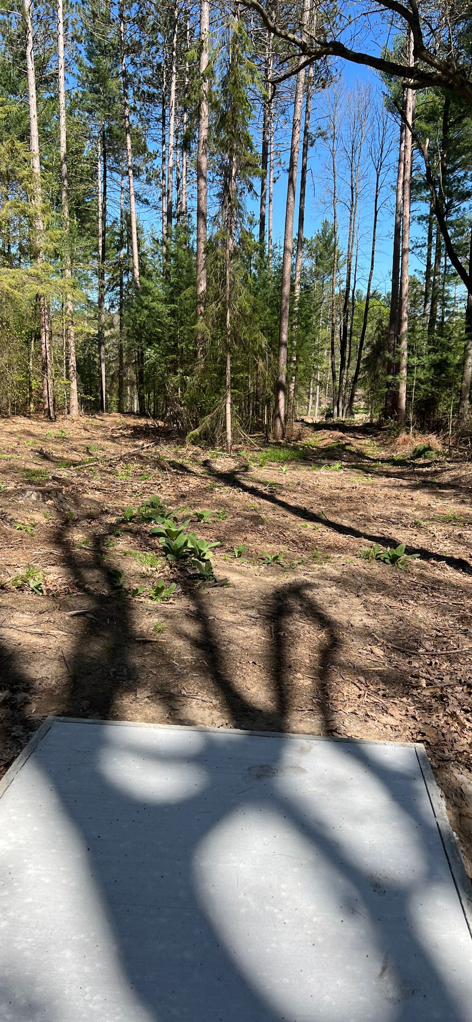 Hole 2