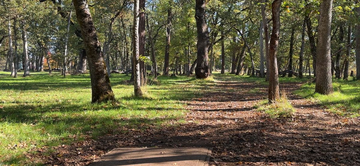 Hole 8