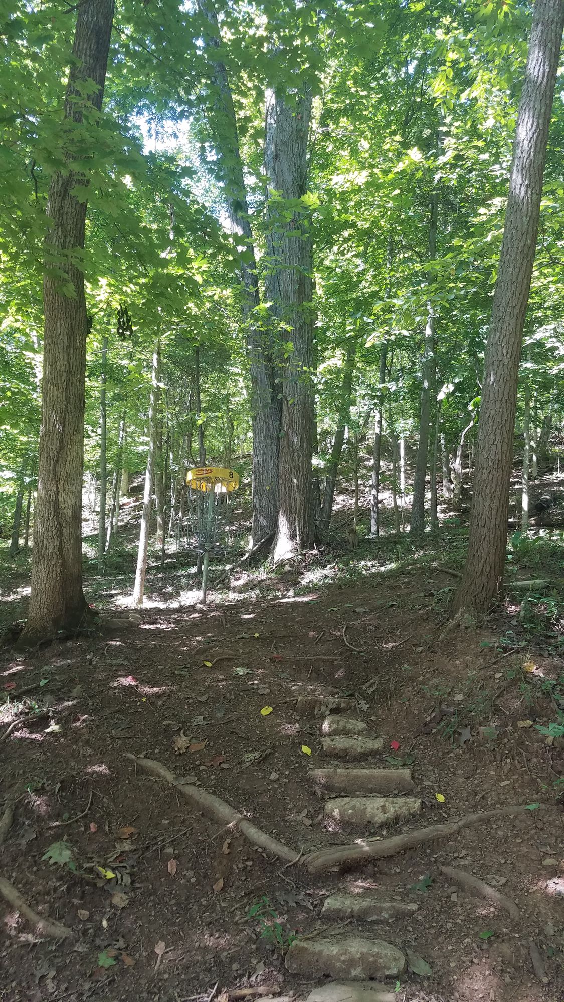 #8 - Short Pin