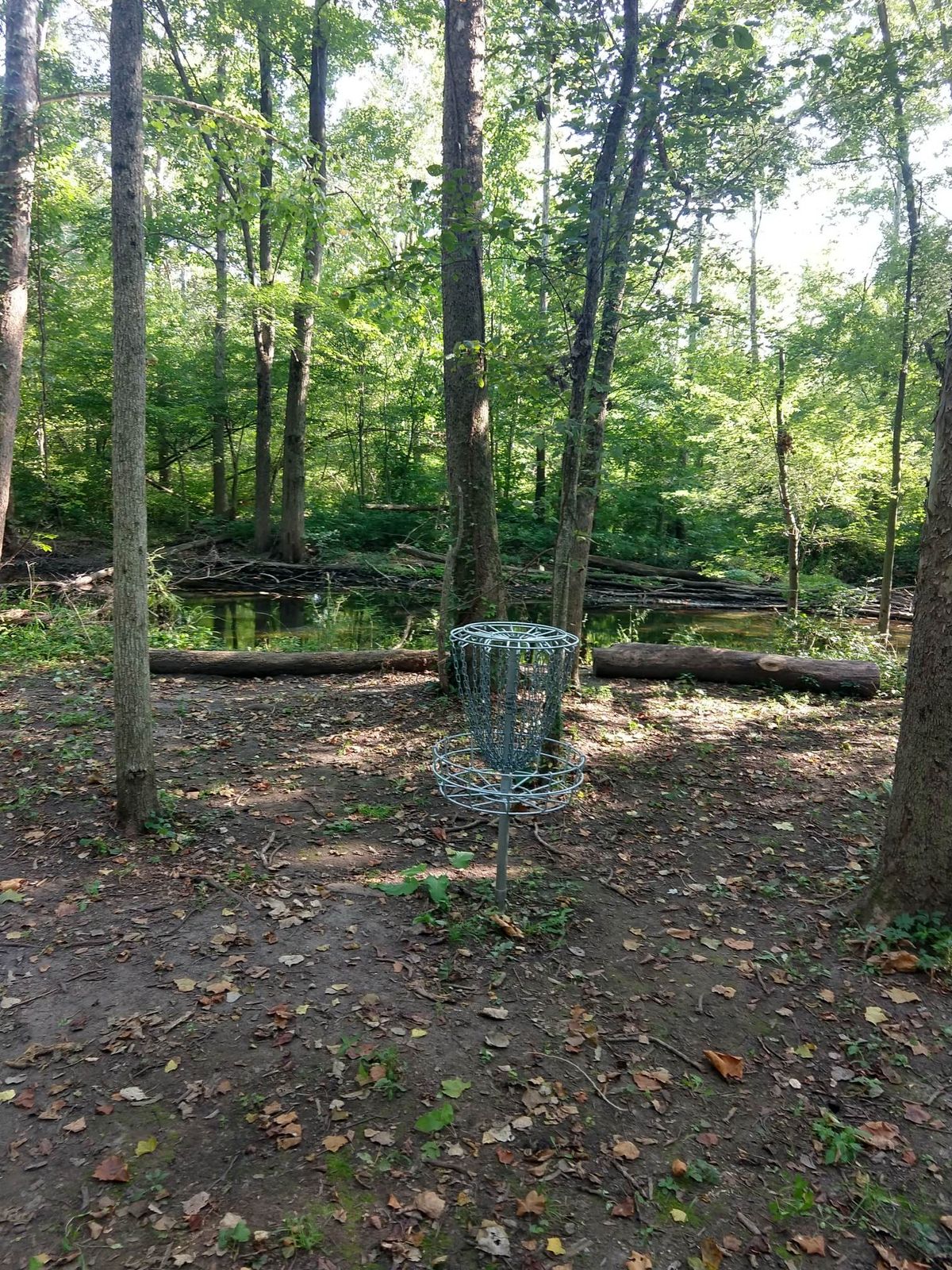 Hole 7