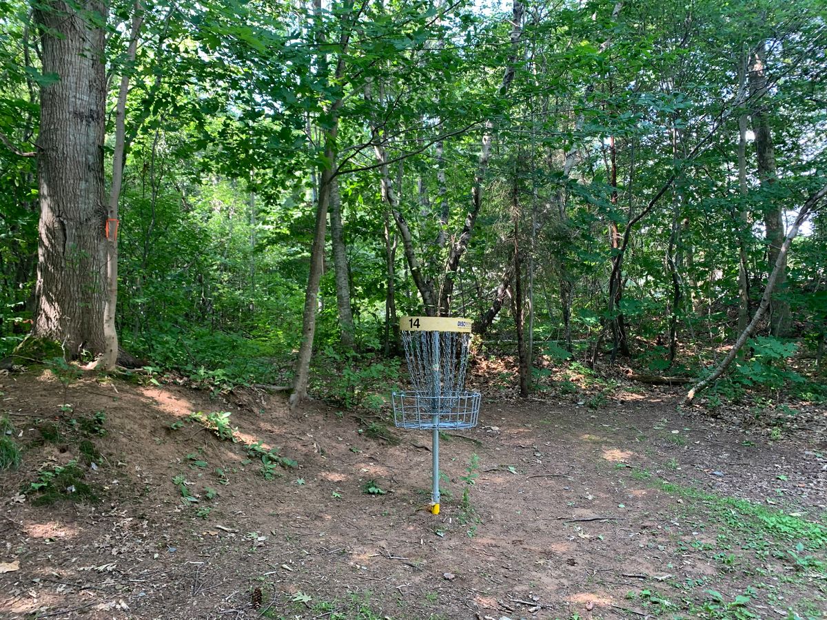 Hole 12 - par 4 tunnel shot.