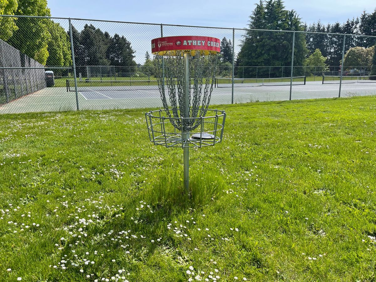 Basket 2 by tennis courts