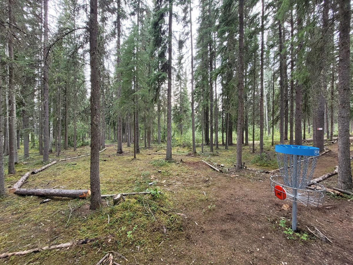 Hole six with border thanks to Y2C2