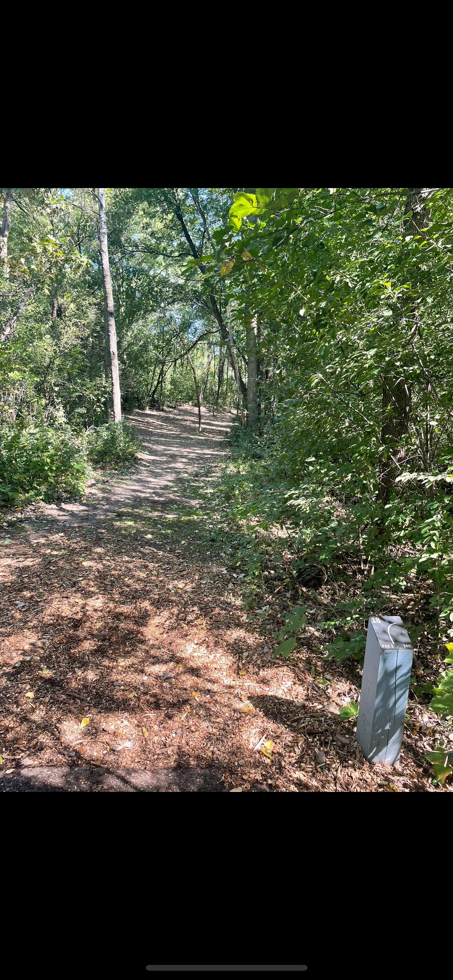Hole 18 teepad
