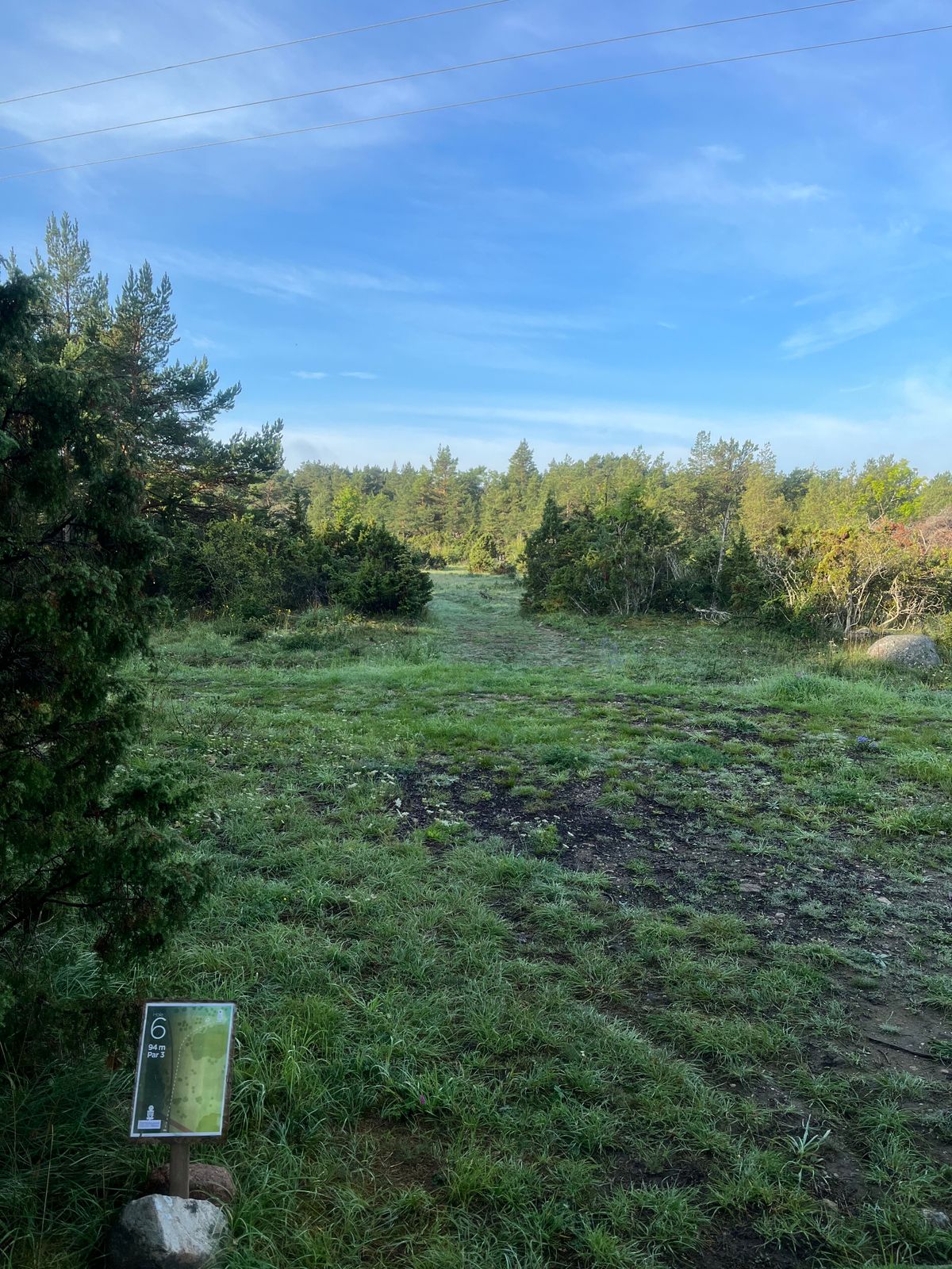 TEE hole 6