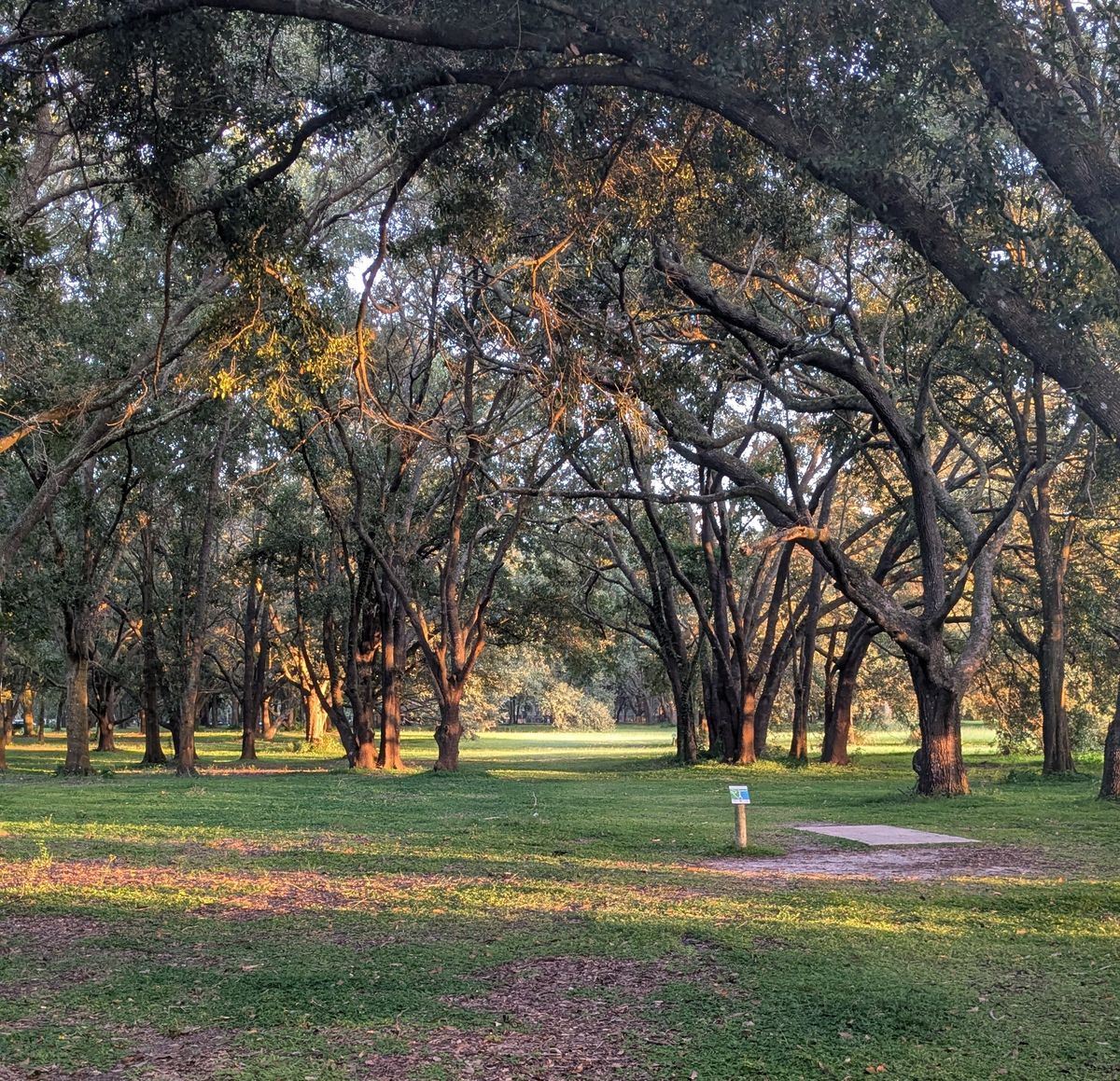 Hole 3 Short Pad