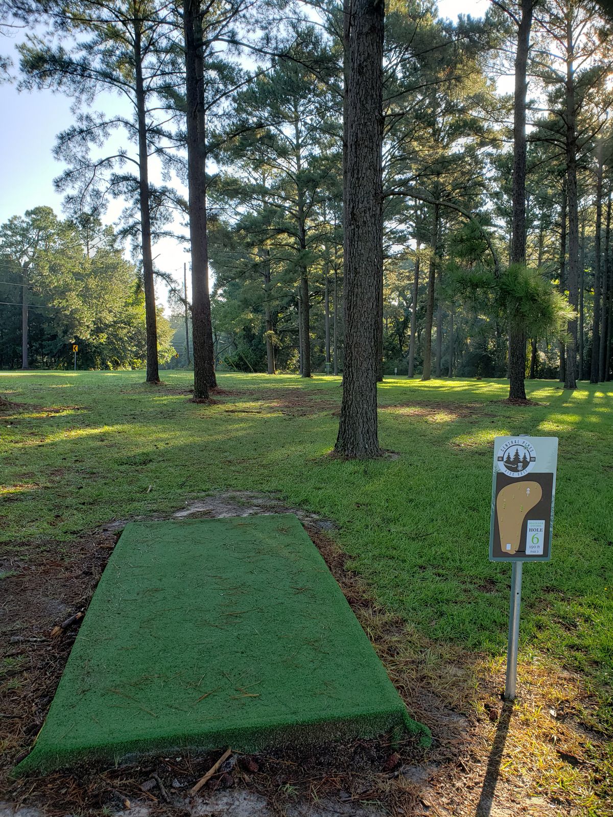 #6 Tee-Pad and Fairway