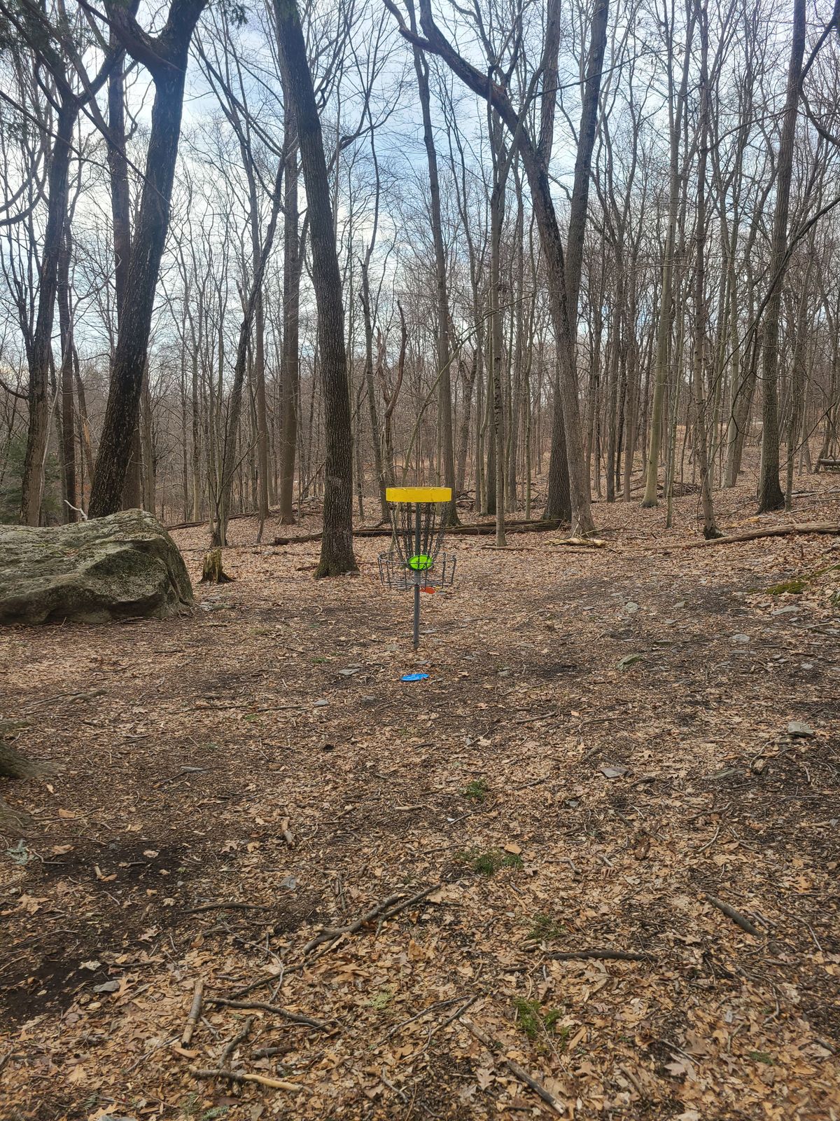 Ace and a park job on hole 17.