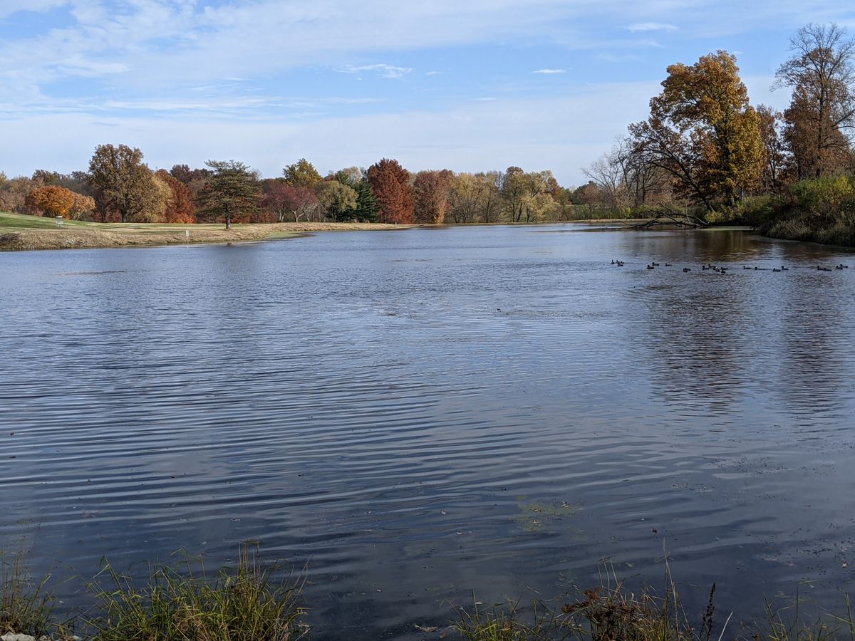 An unusually clear lake.