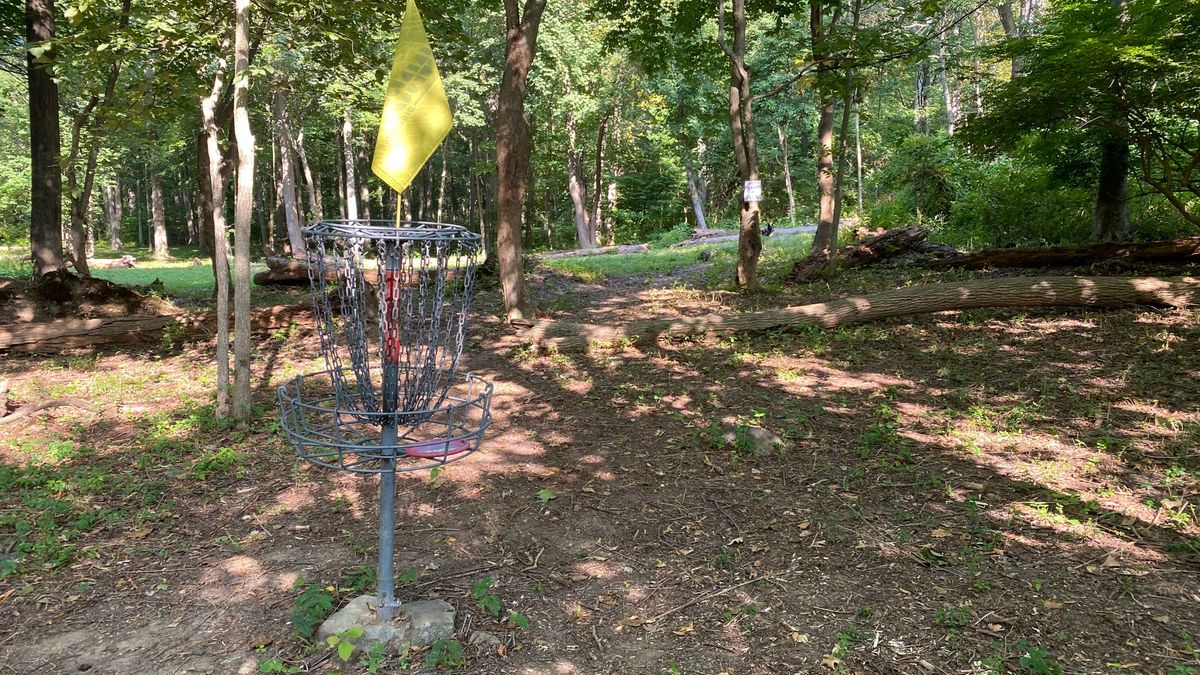 Green of 18