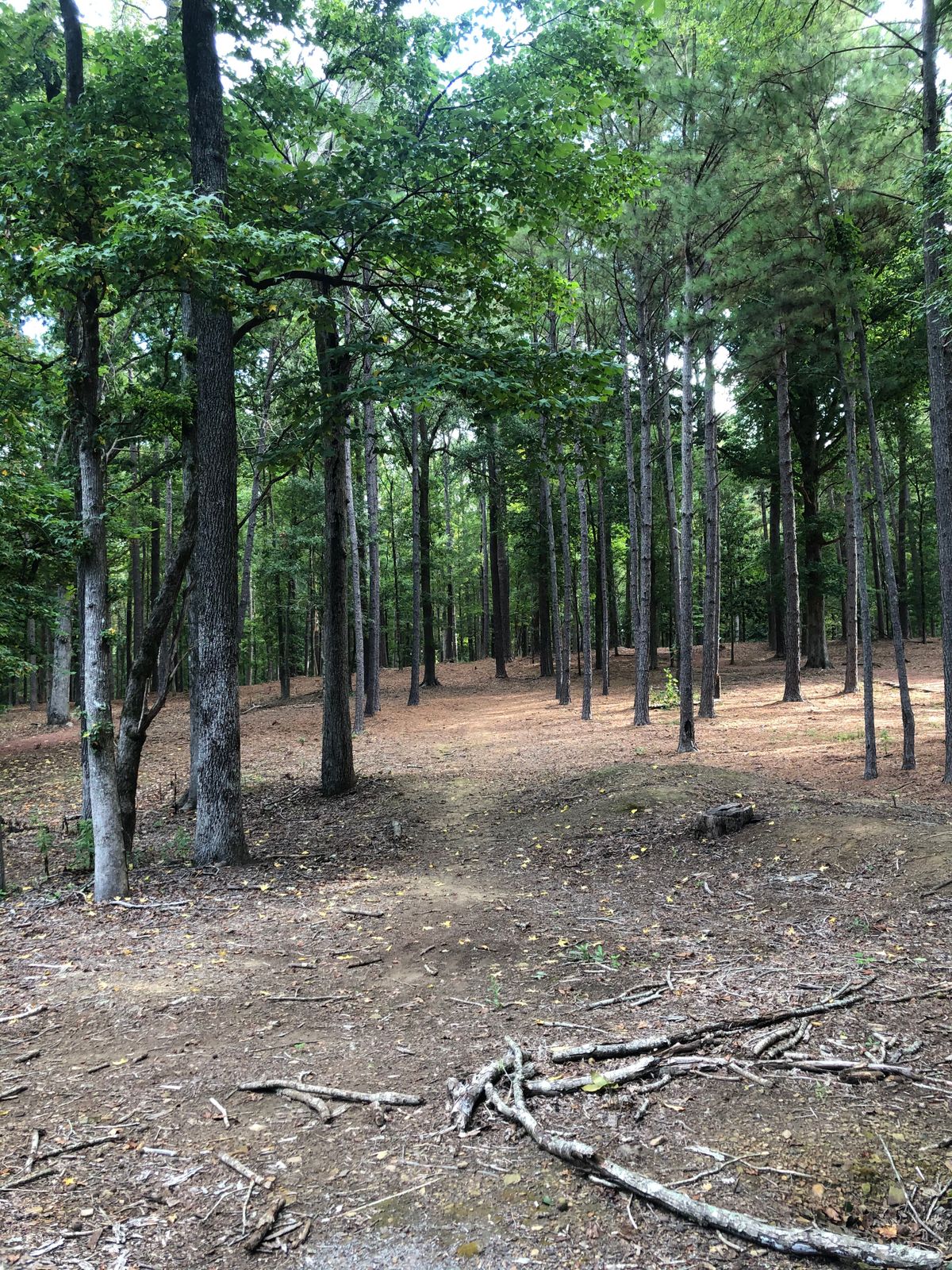 Hole 8