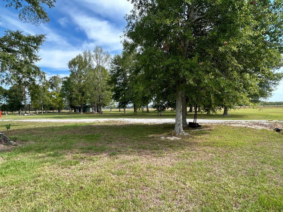 Hole 2 Fairway