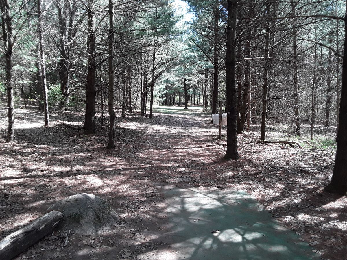 Hole #6 from tee.