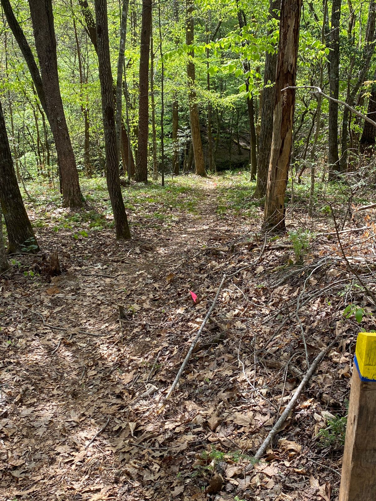 Hole 11. Downhill across small creek.