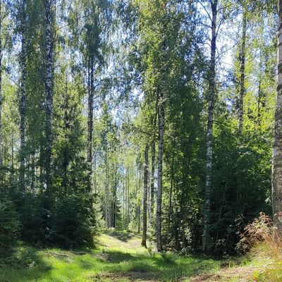 Väylä 14