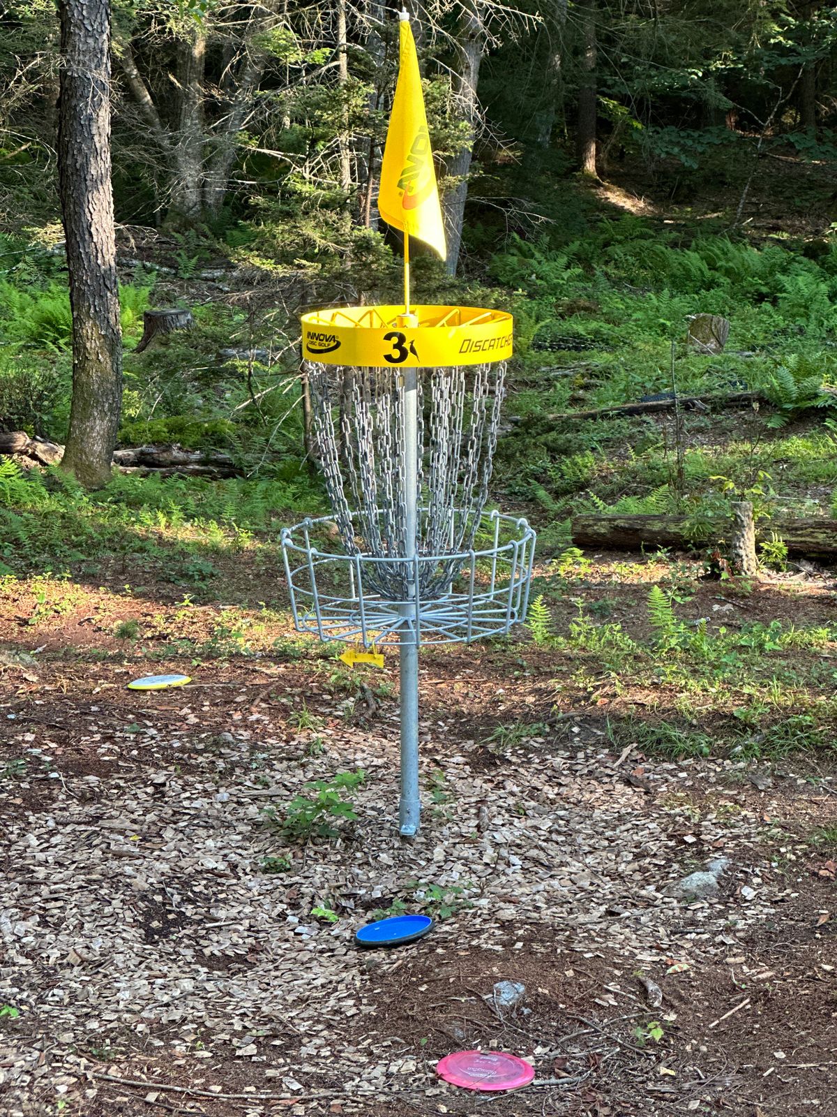 Hole 3 - Basket