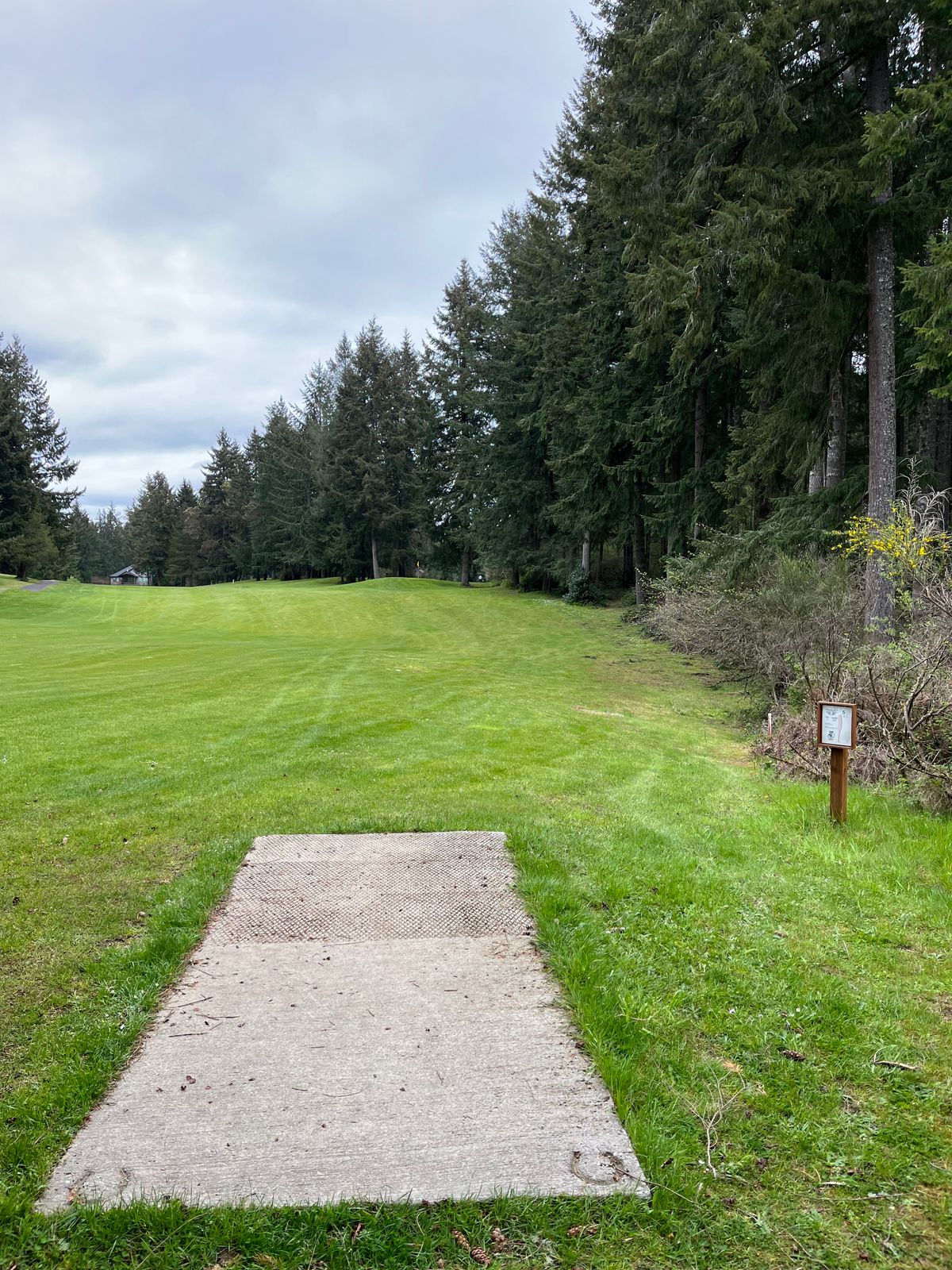 Hole 5 lakeside
