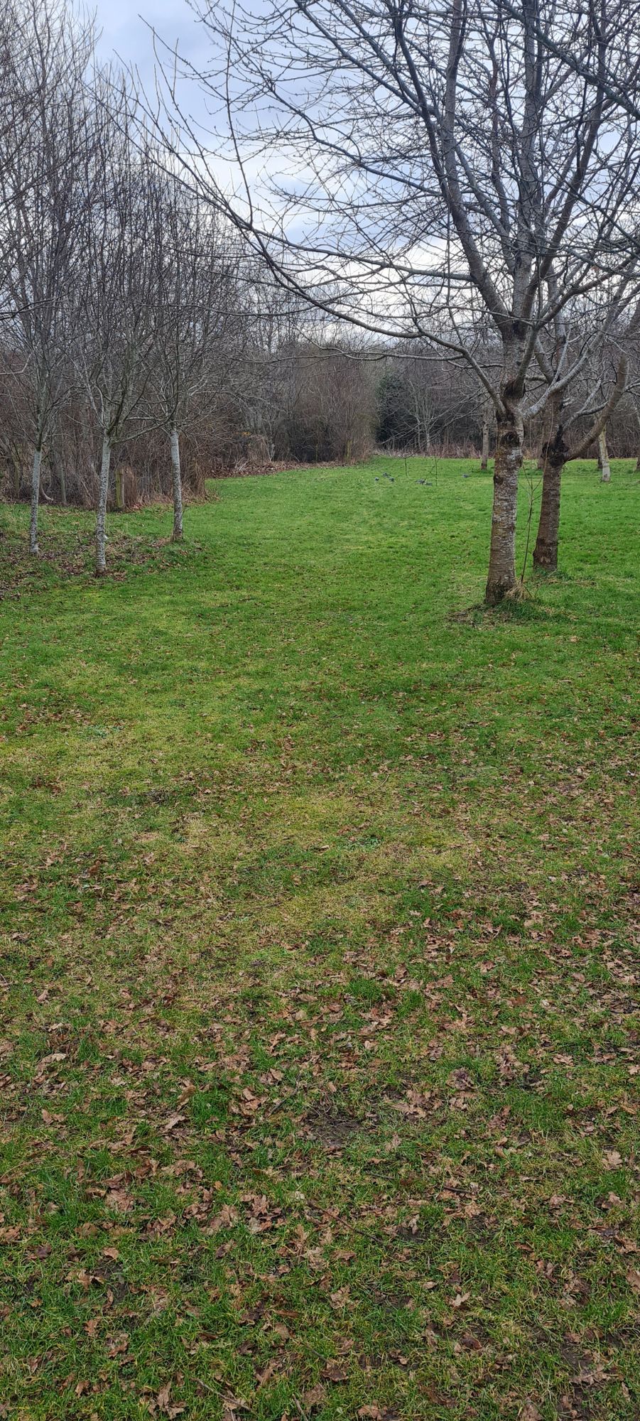 Hole 6