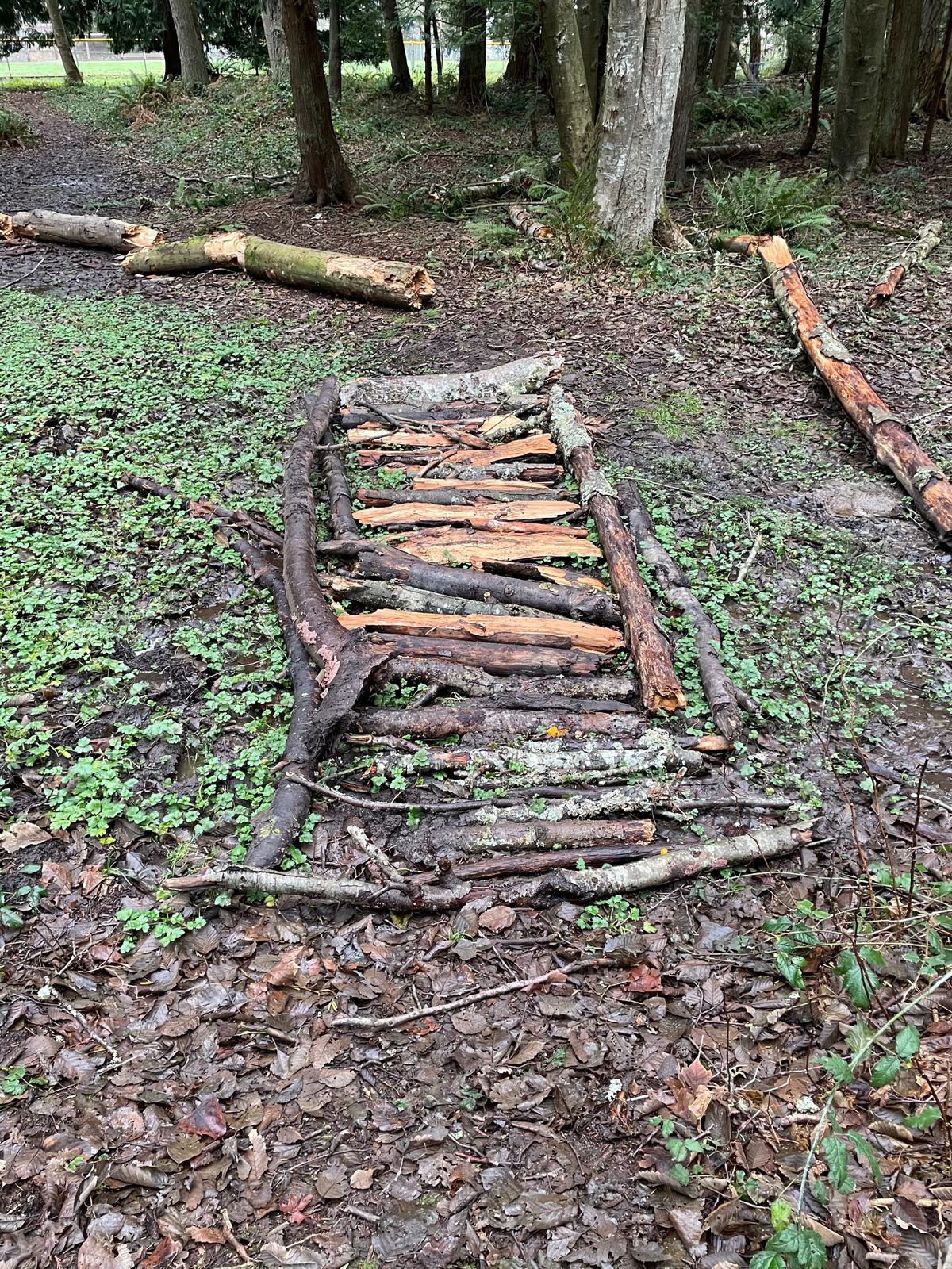 Lots of homemade bridges, thank you to whoever did this!
