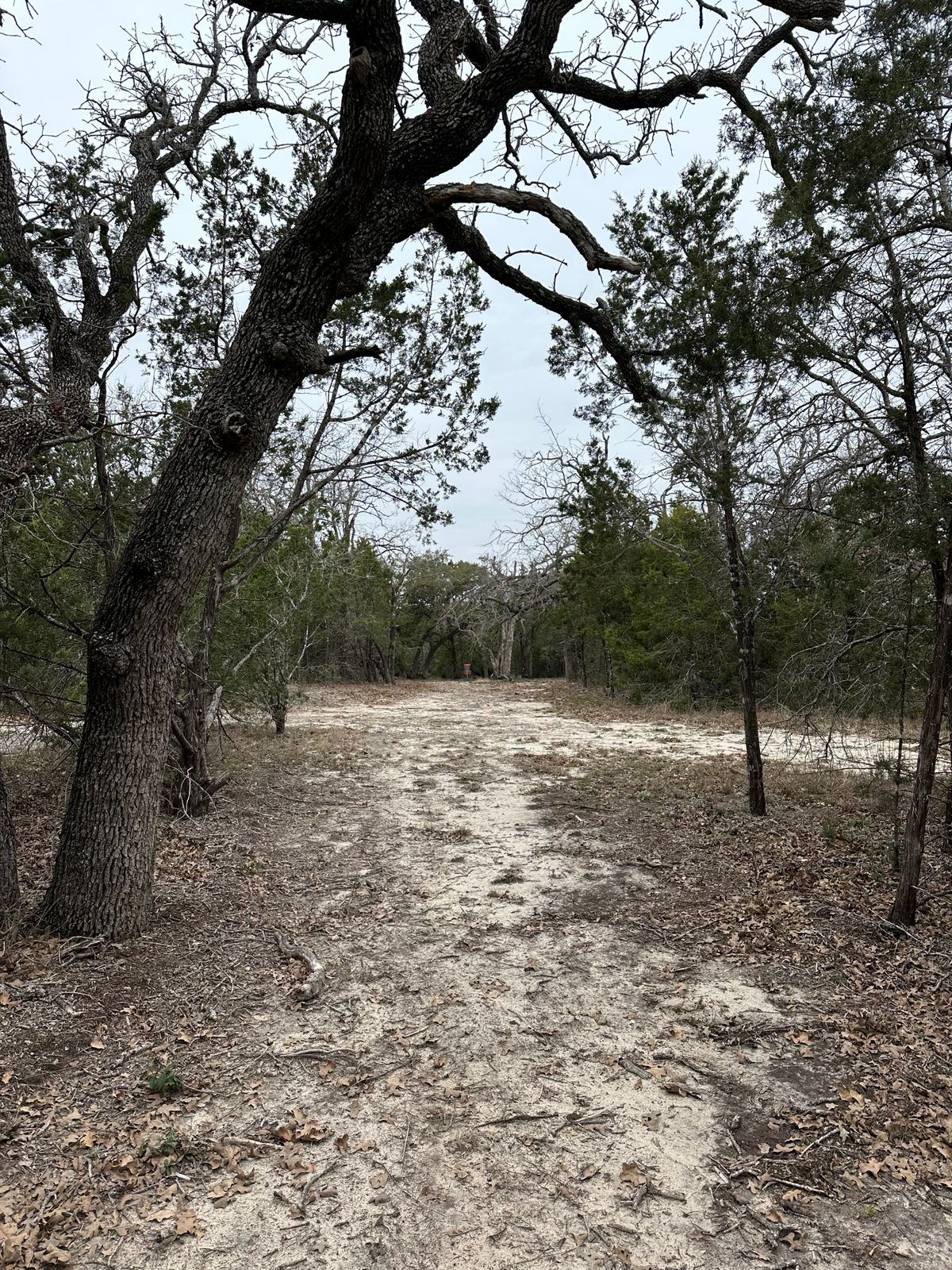 Tight fairway