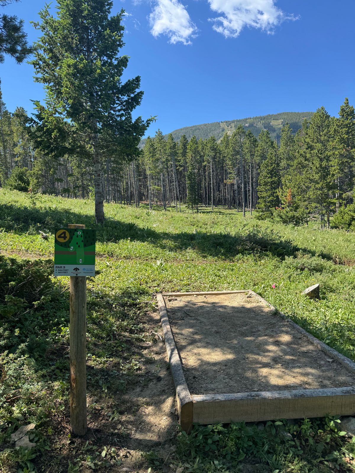 Hole 4 - Black Tee
