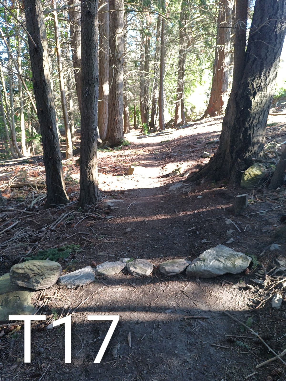 57m straight down the hill try to avoid the road to the right