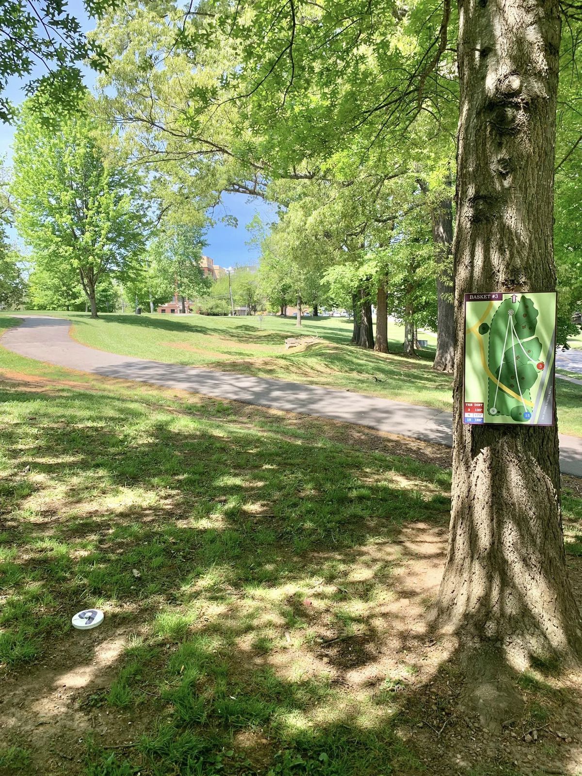 Hole 9 (white marker on basket #3)