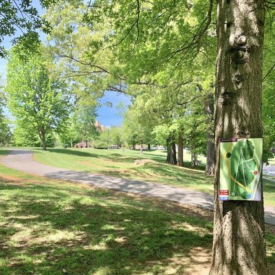 Hole 9 (white marker on basket #3)