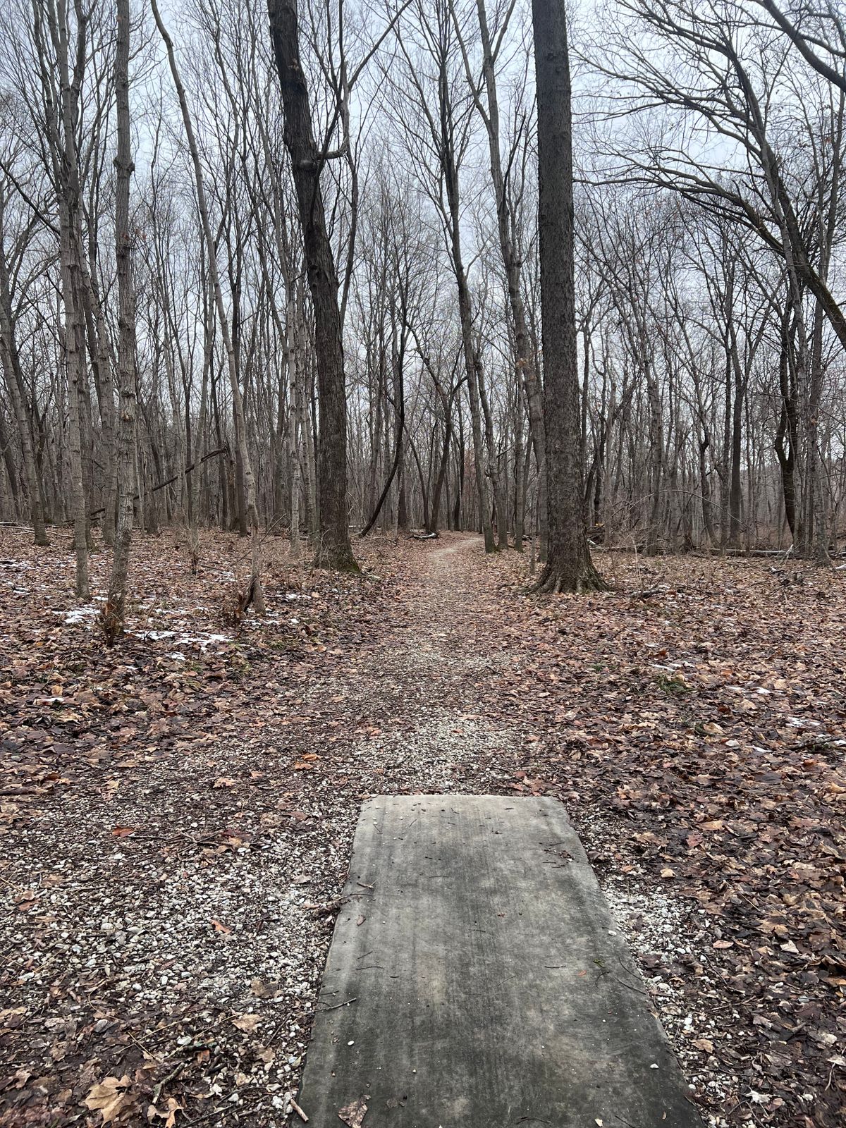 Hole 14