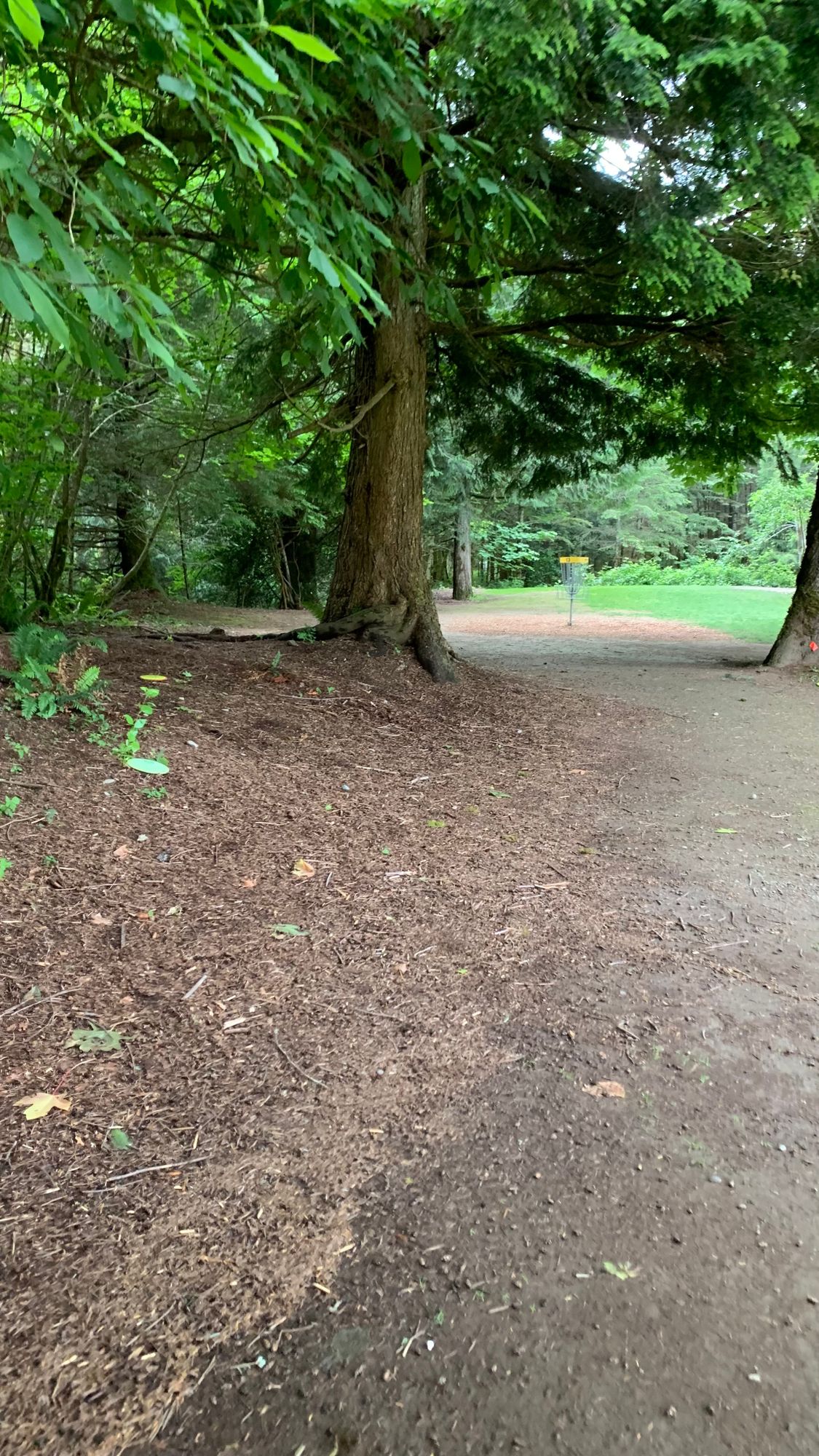 Hole 13