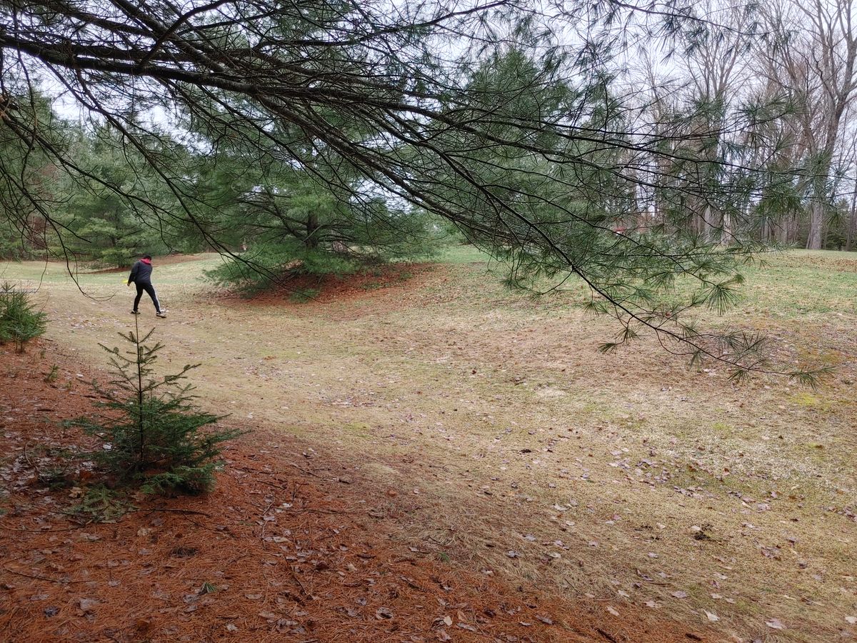 Hole 7 big drive
