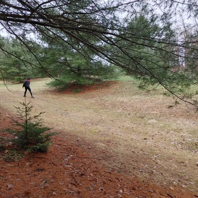 Hole 7 big drive