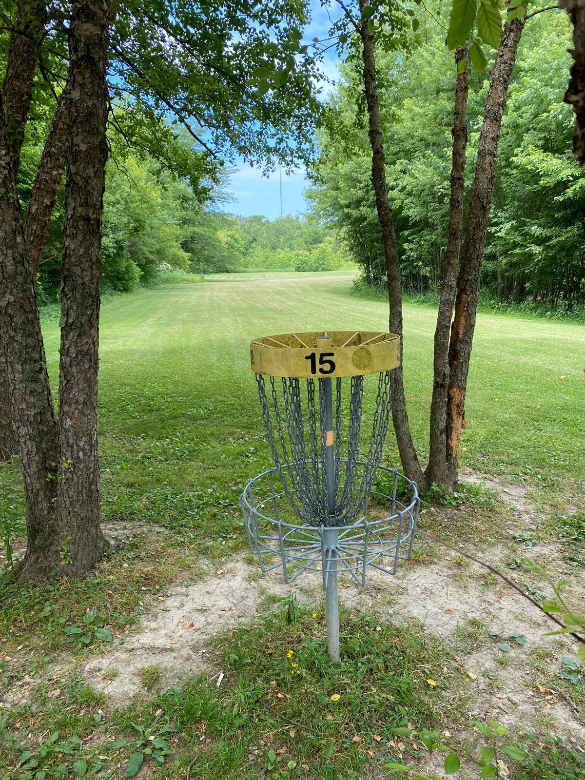 Hole 15 (Reverse)