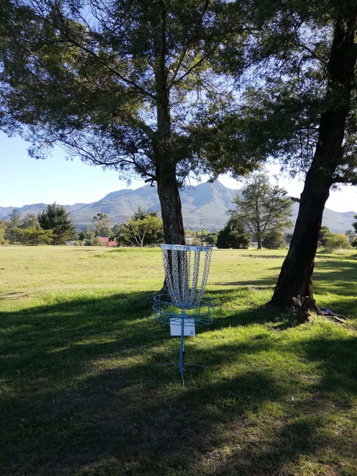 Hole 5 basket.