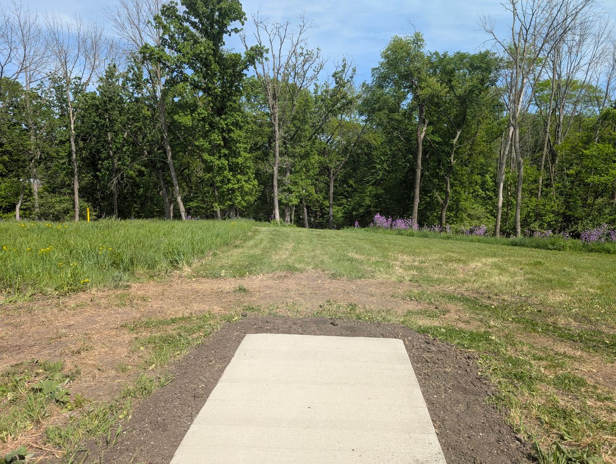 Hole 2 tee