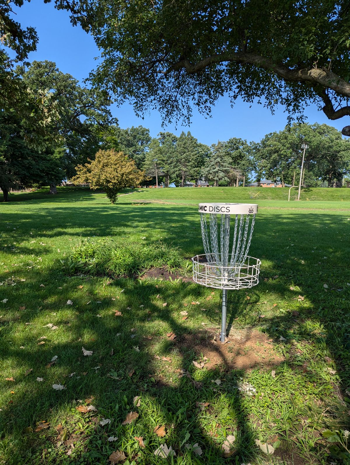 Basket of Hole 3, looking back towards the tee