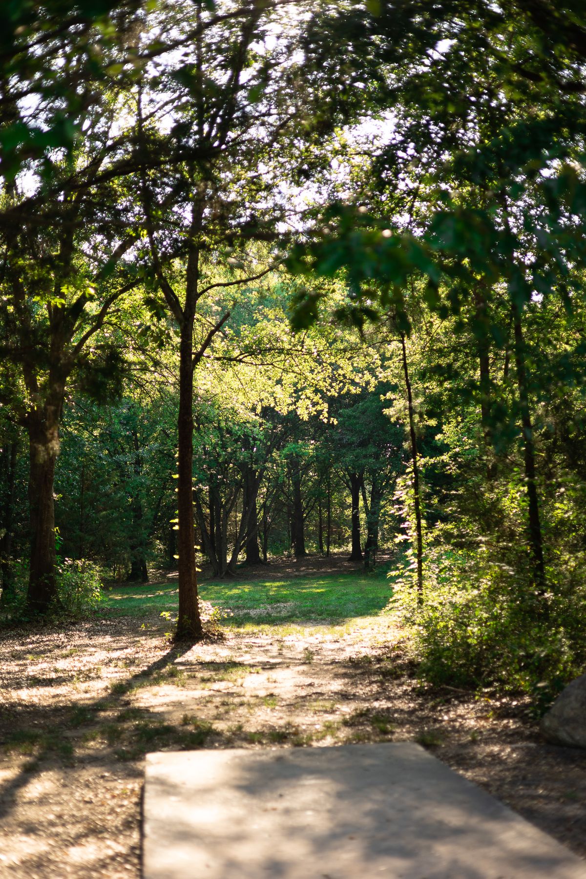 Hole 6 Long