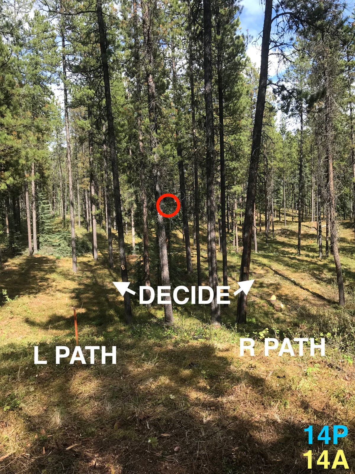 14 - Pro/Amateur Tees, choose L or R path. Target straight but middle is very thick