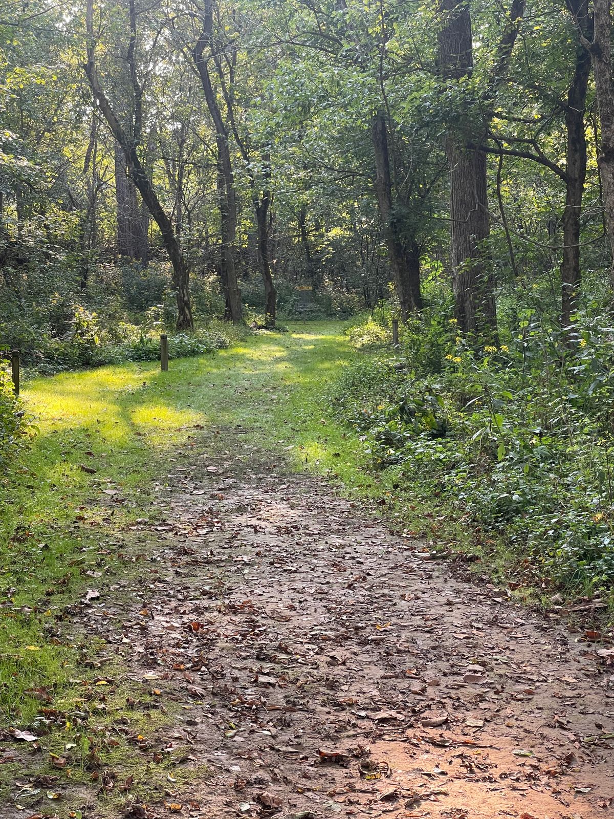 Hole 4 from the tee