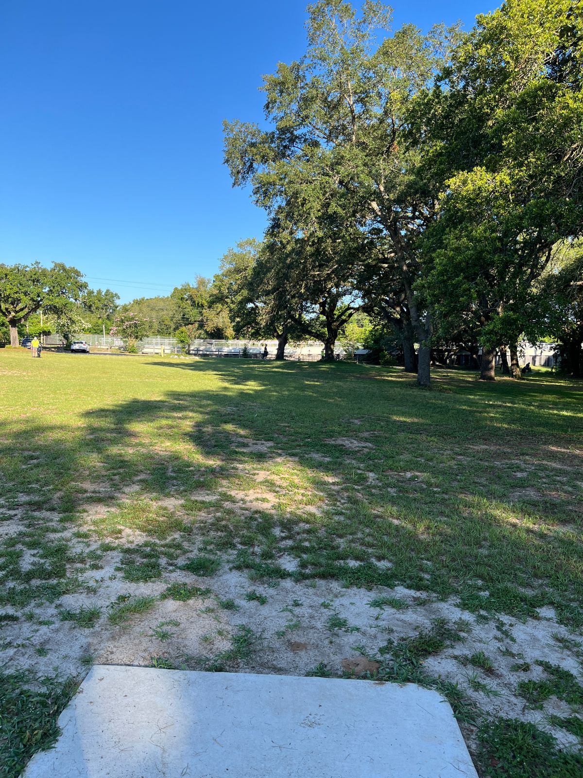 Hole 4 Tee