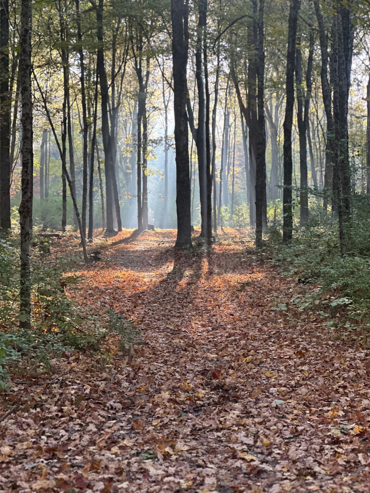 Fall golf at Hueston Woods
