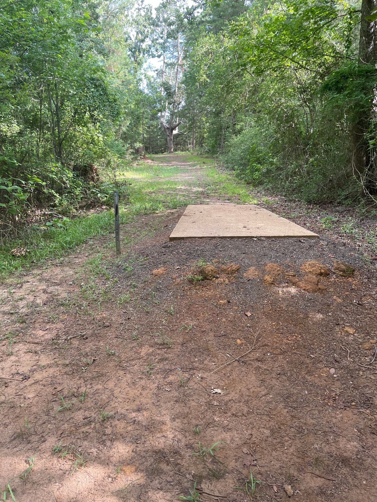 Hole 4 tee box.